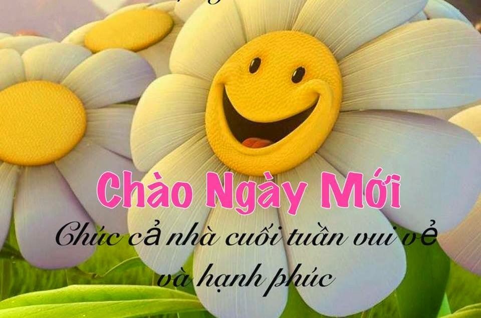 Tin Nhắn Chào Buổi Sáng
